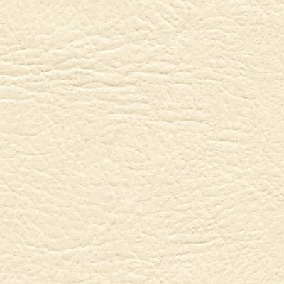 Capri Standard Coral
