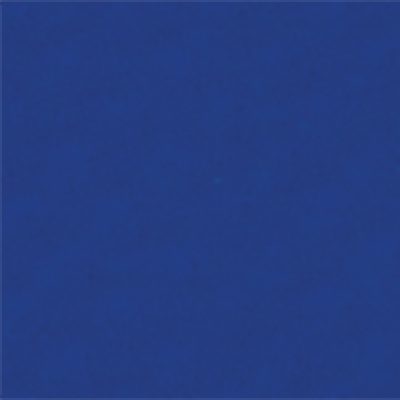 Protex Side Curtain Blue 320cm