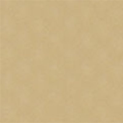 Protex TS Beige 205cm