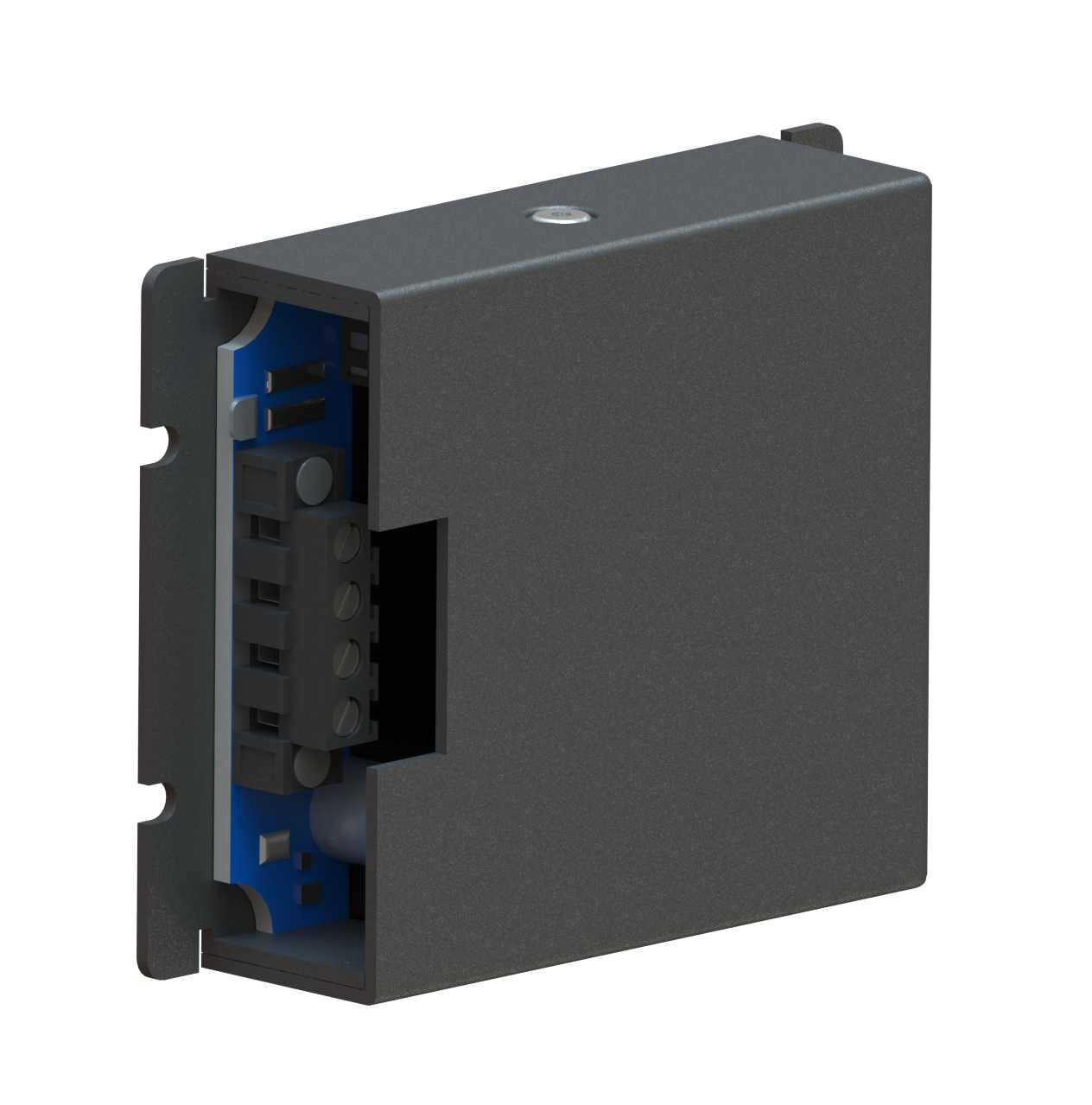 Electronic Charger 12V/24V