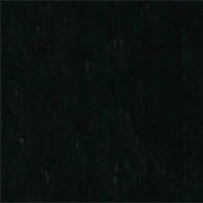 Protex ETS EXTRA Black 320cm
