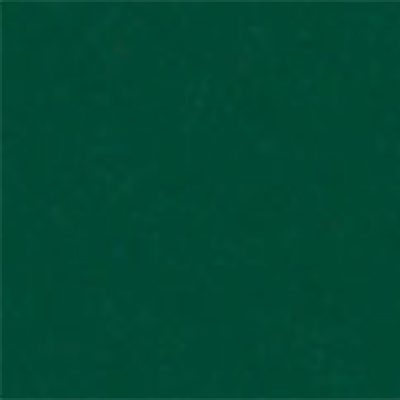 Protex Side Curtain Green 320cm