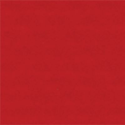 Protex Side Curtain Red 320cm